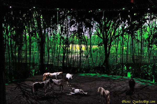Cavalia Odyss�o