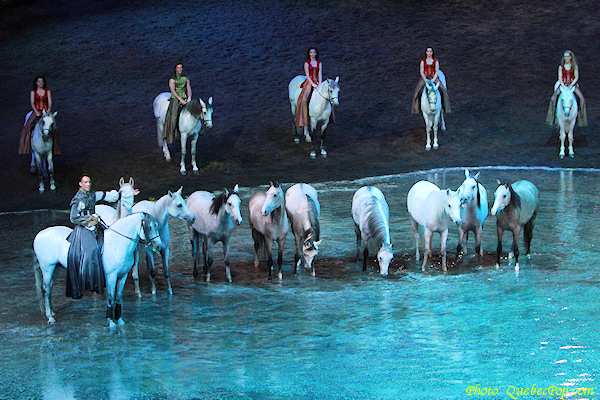 Cavalia Odyss�o